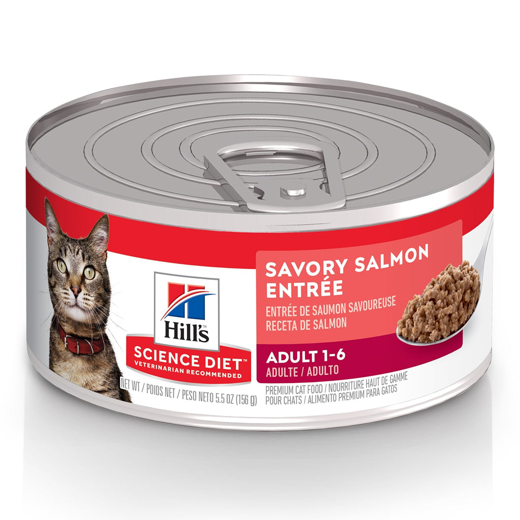 Adult Savory Salmon Hill's Science Diet