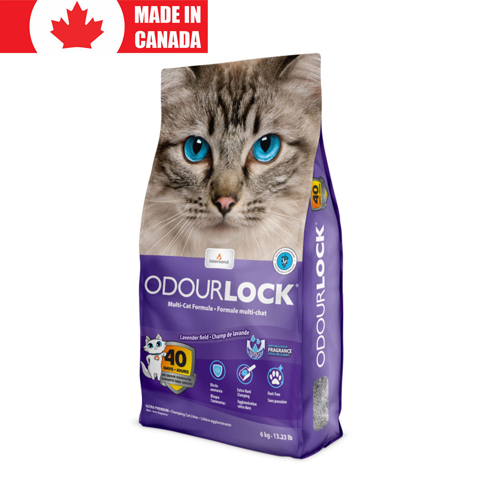 Multi-Cat Baby Lavender Intersand