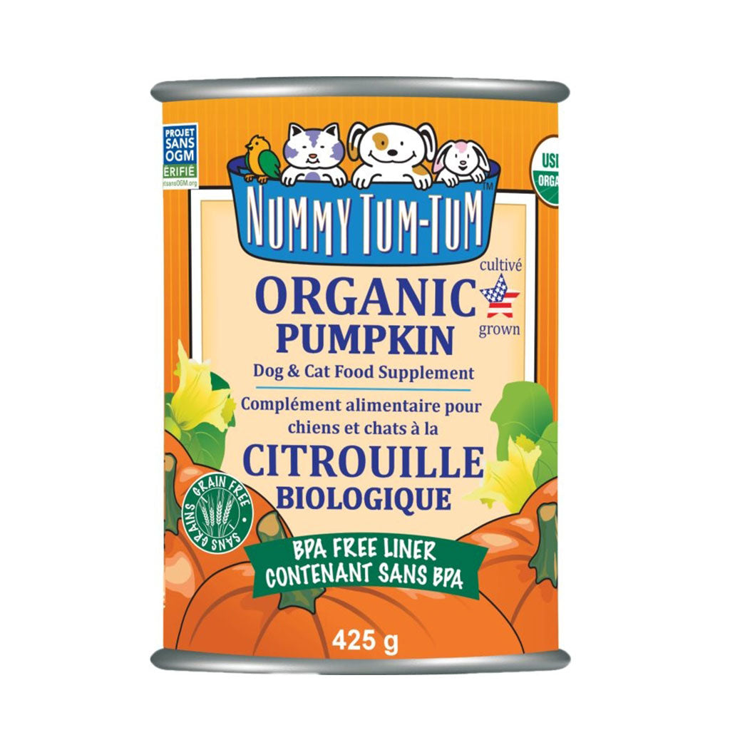 Organic Pumpkin Nummy Tum-Tum