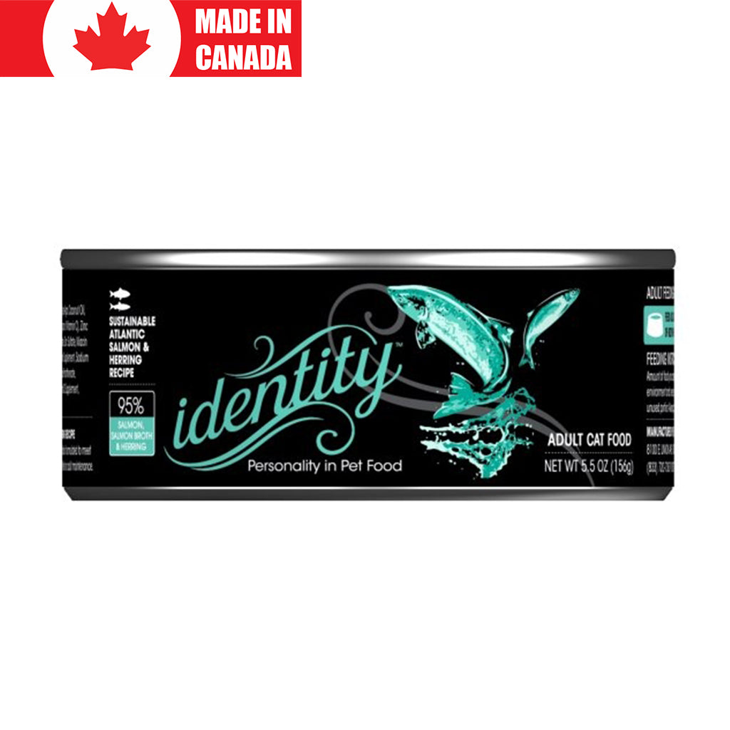 Salmon & Herring Cats Identity