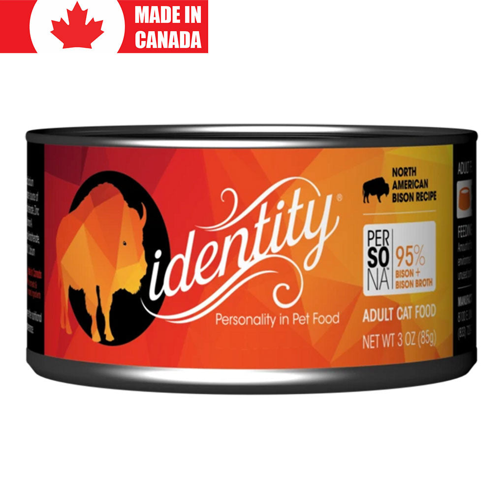 Bison Cats Identity