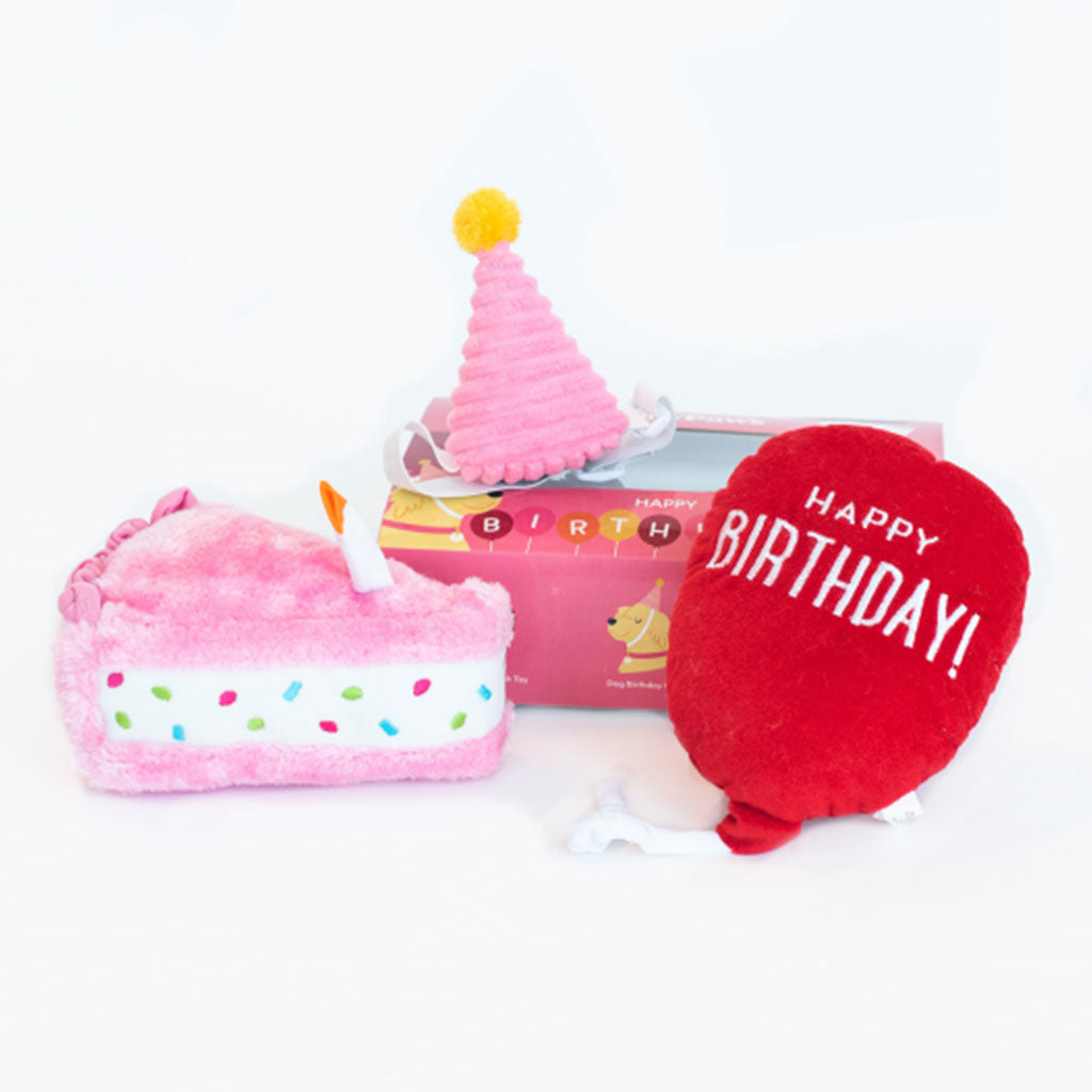 Birthday Box Pink ZippyPaws