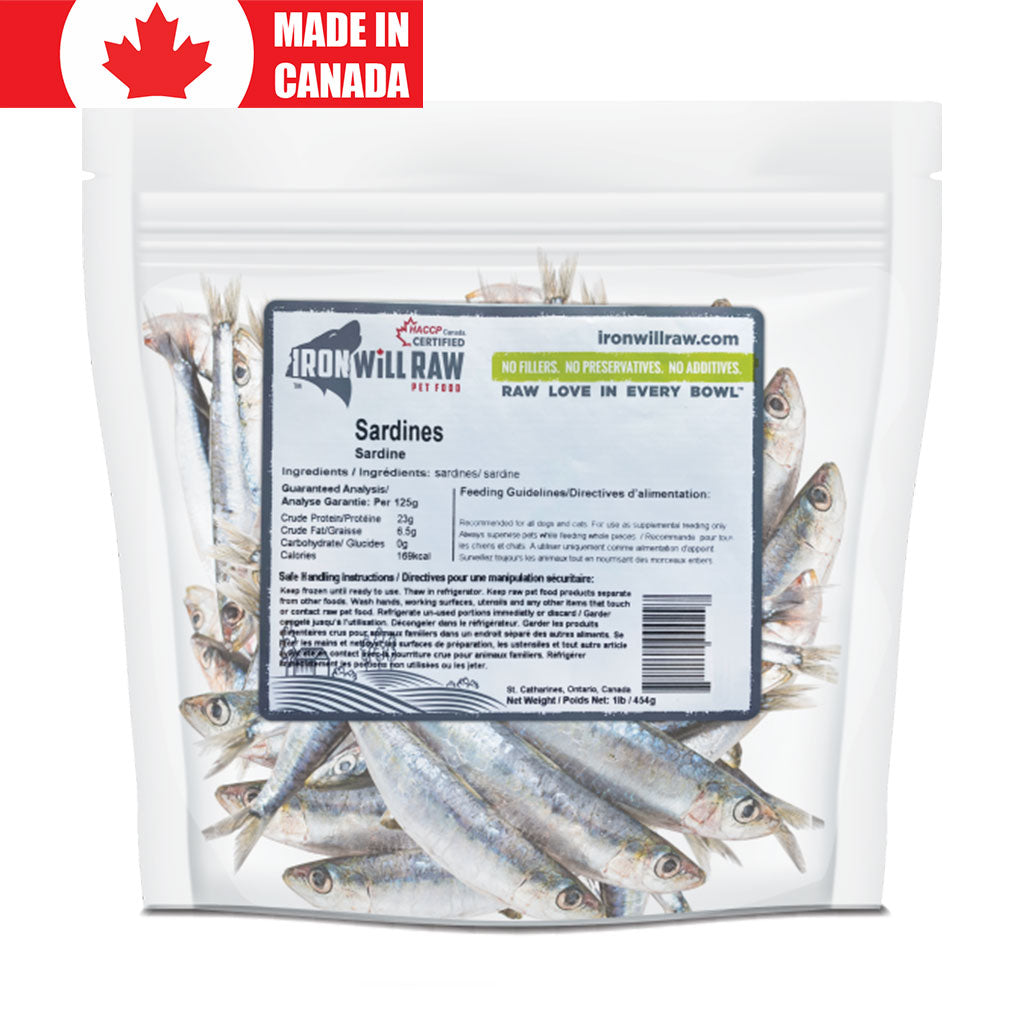 Sardines Iron Will Raw