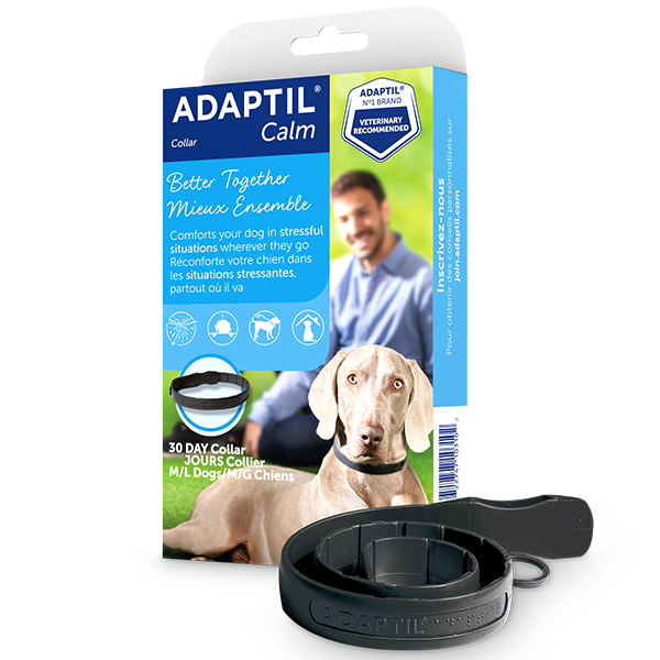 ADAPTIL Dog Calm On-The-Go Collar Large up to 24.6" URBANPAWPETS LTD.