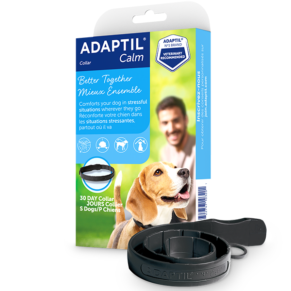 ADAPTIL Dog Calm On-The-Go Collar Small up to 14.7" URBANPAWPETS LTD.