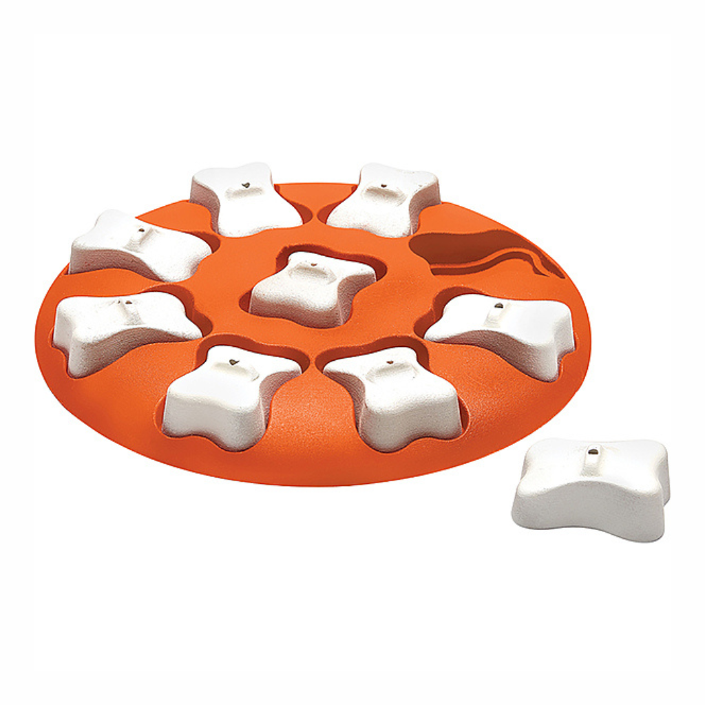 Smart Orange Nina Ottoson