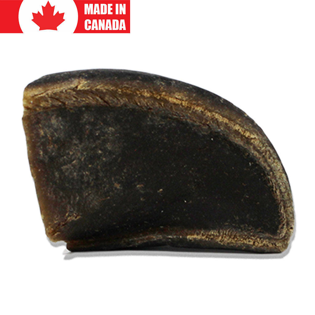 Beef Hooves Open Range