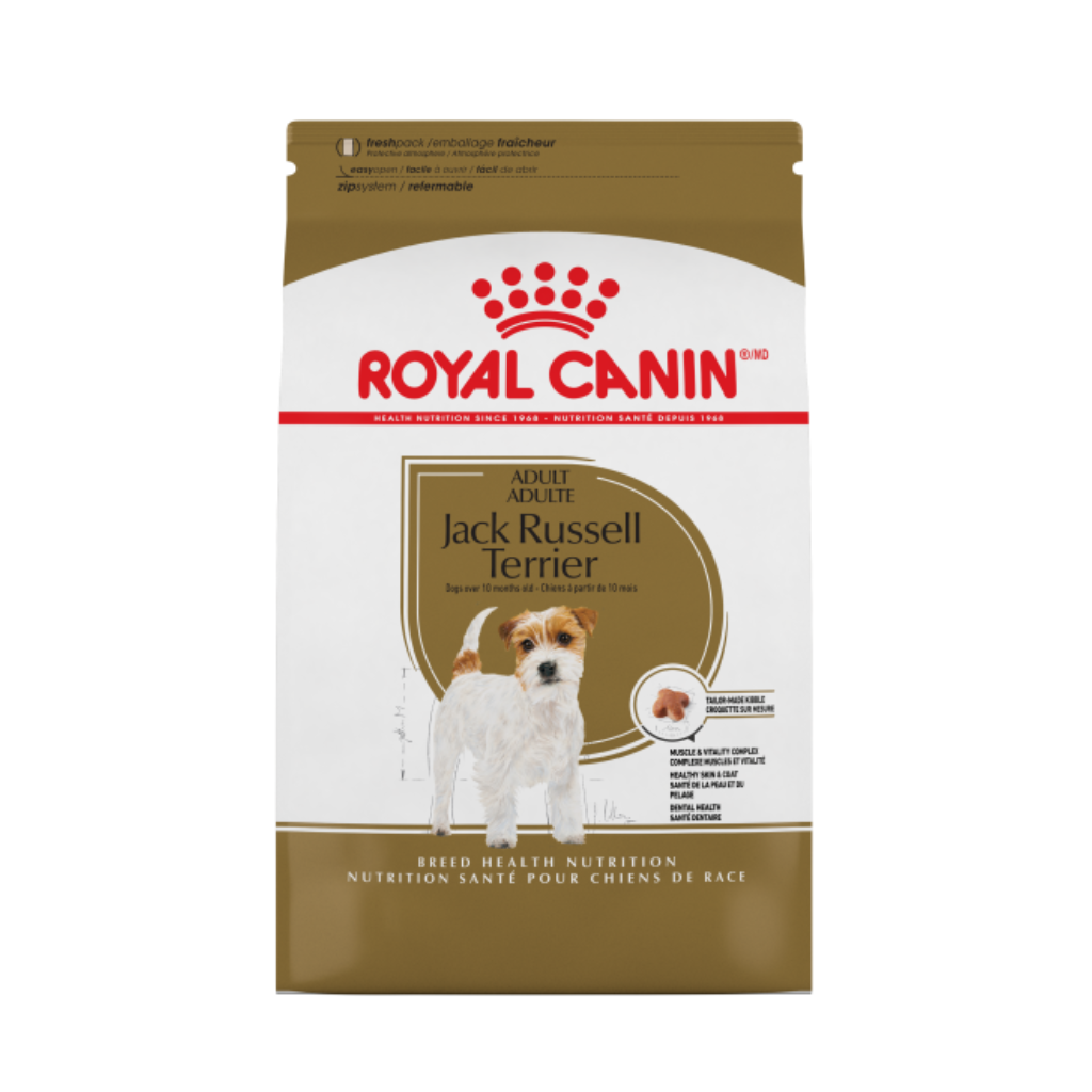 Jack Russell Adult Royal Canin