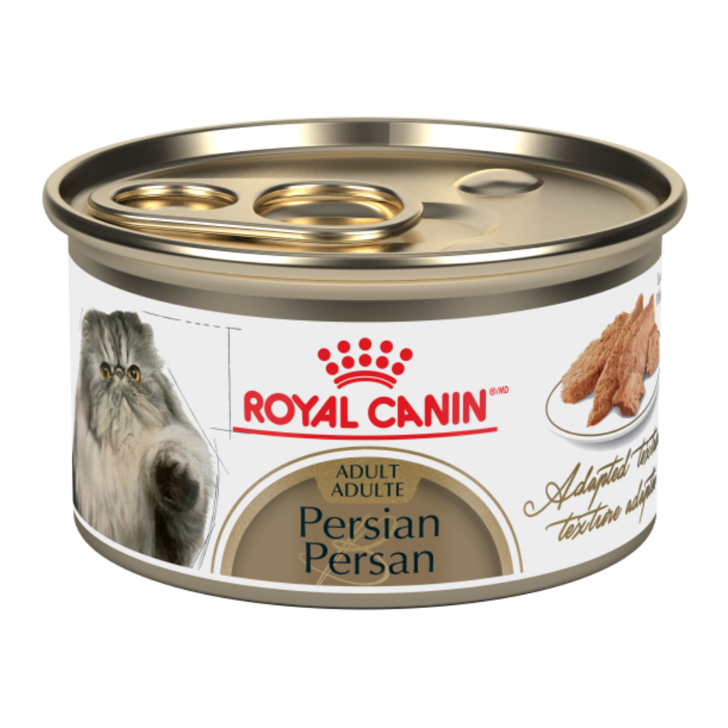 Persian Royal Canin