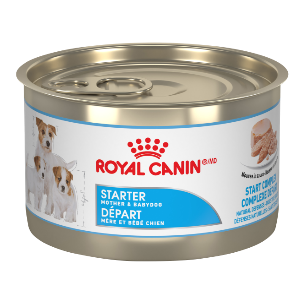 Starter Mousse Royal Canin