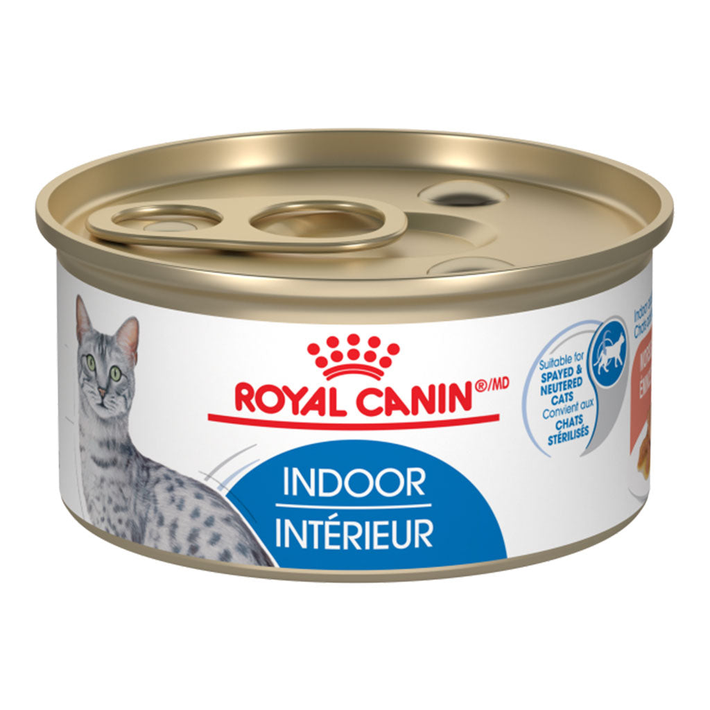 Indoor Adult Morsels Royal Canin