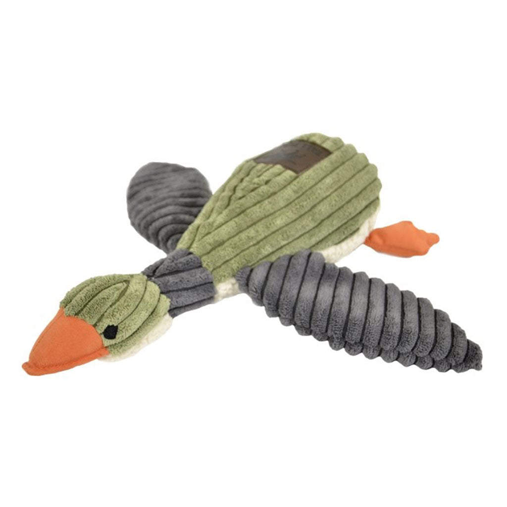 Duck Squeaker Tall Tails