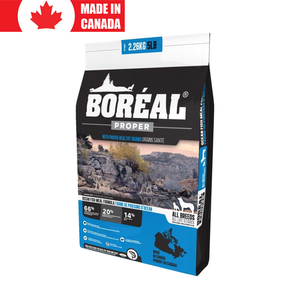 Proper Ocean Fish Boreal