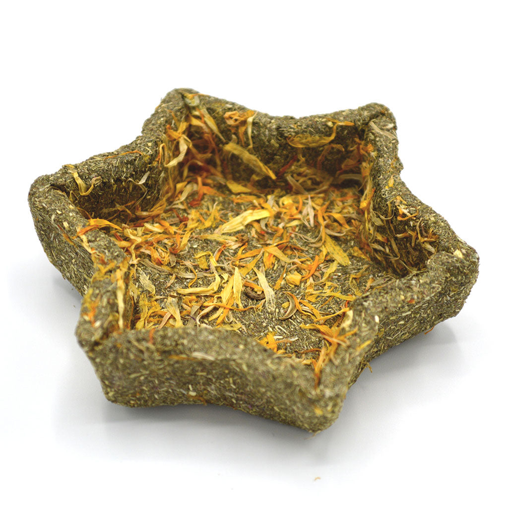 Enriched Star Dish Oxbow