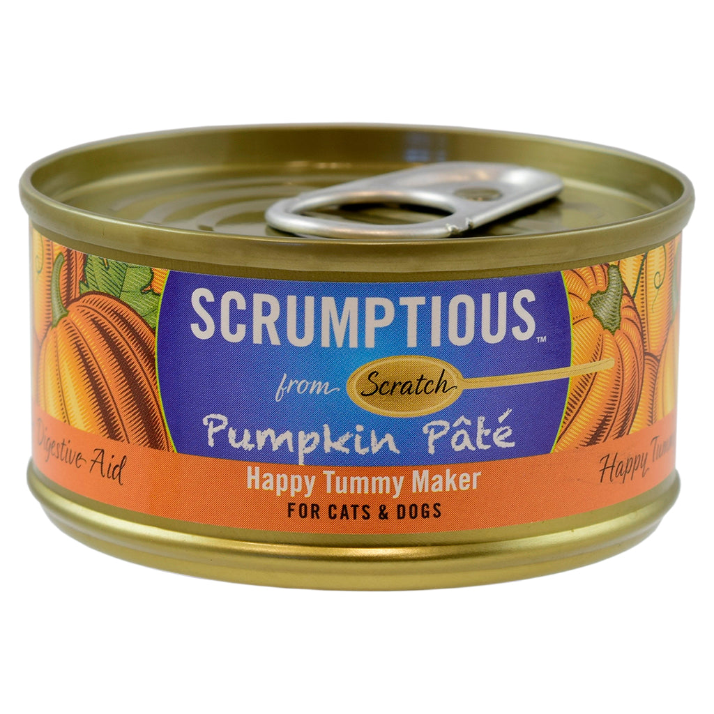 Pumpkin Patè Scrumptious