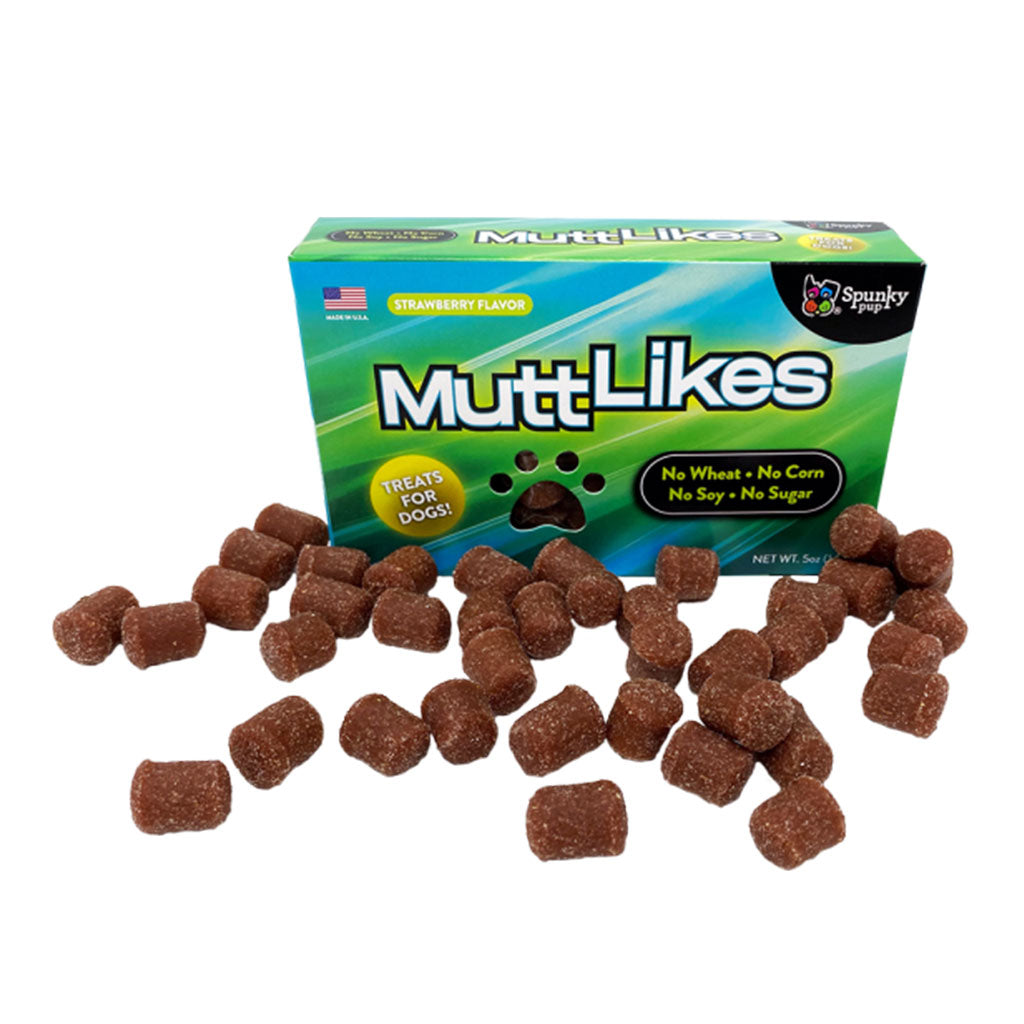 Strawberry Spunky Pup