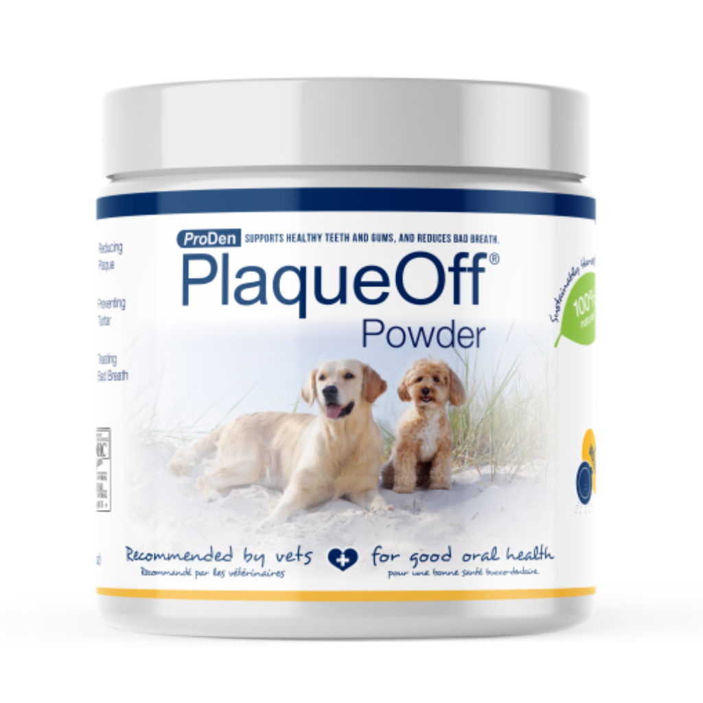 Dry Kelp Powder Dog Plaque Off