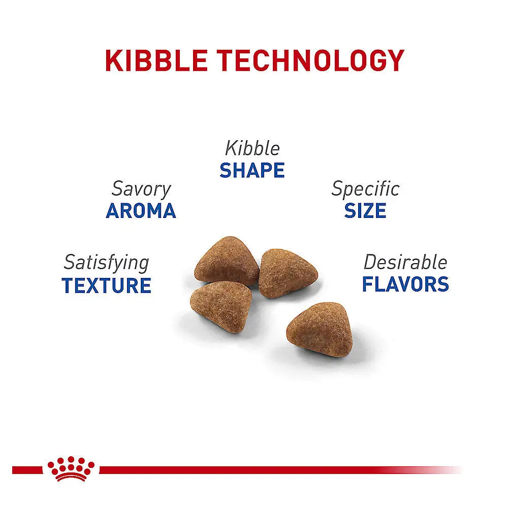 Royal Canin® Feline Health Nutrition Indoor Adult Dry Cat Food My Store