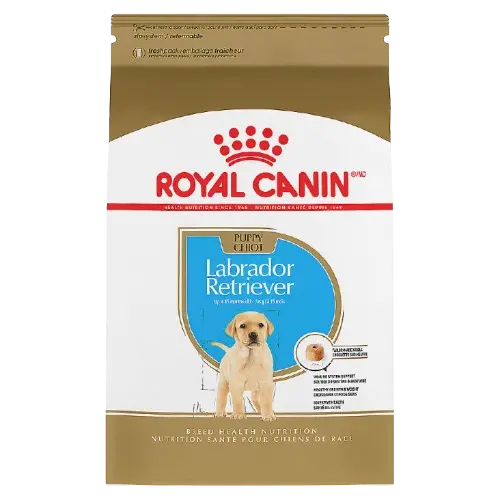 Royal Canin® Breed Health Nutrition® Labrador Retriever Breed Specific Puppy Dog Dry Food - 30 lb My Store