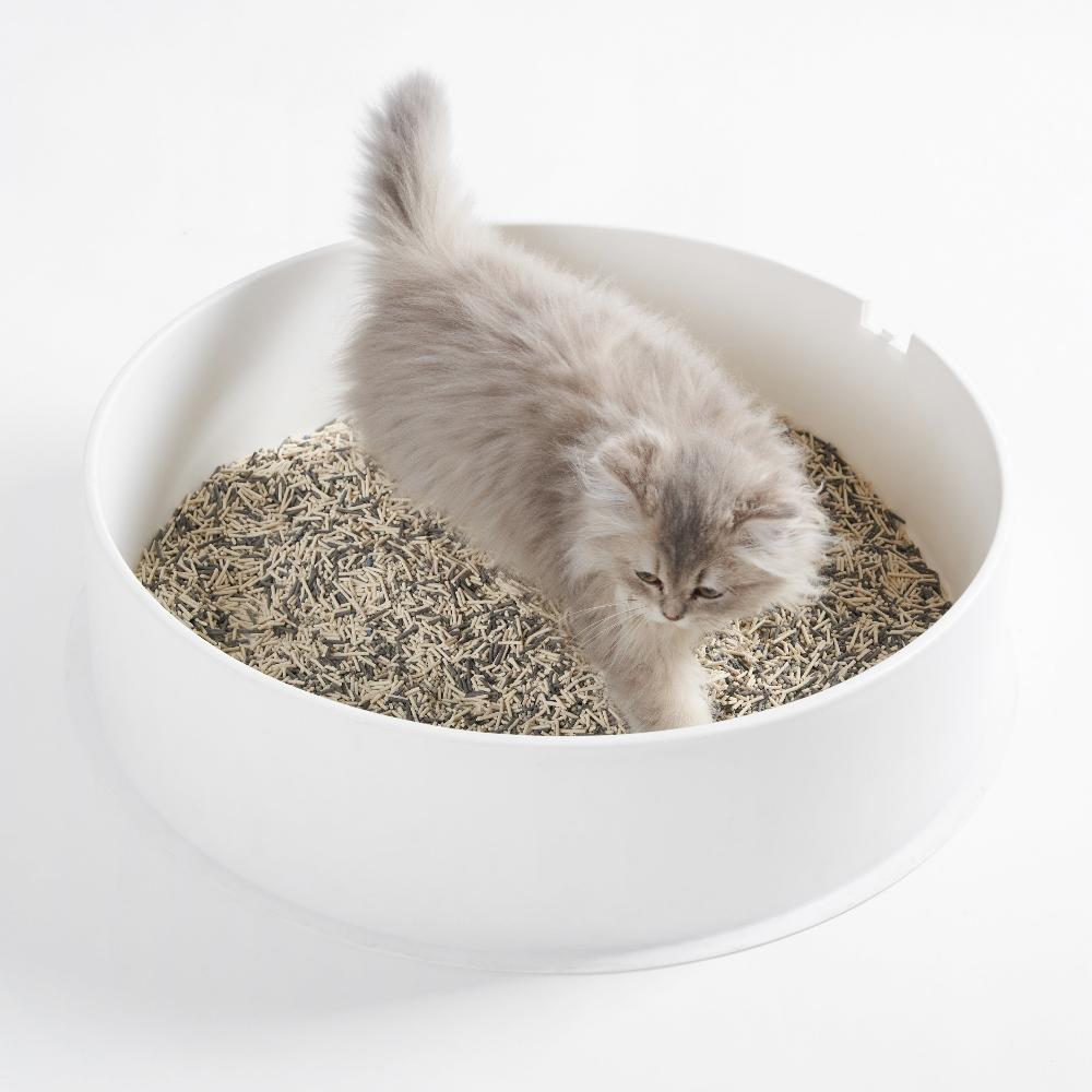 pidan 3-in-1 Blend Cat Litter, Pail | 5.2 kg URBAN PAW PETS