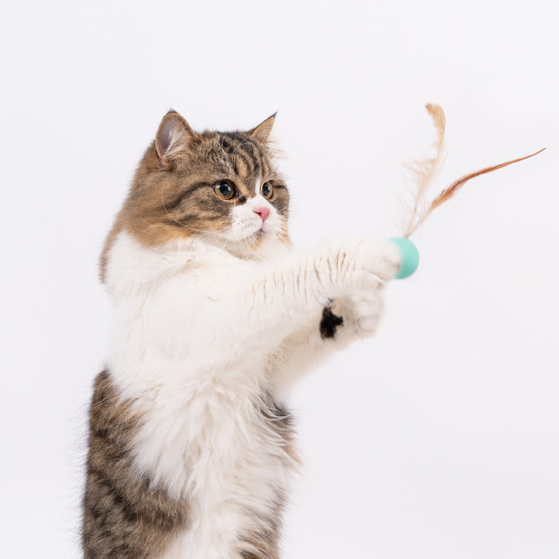 Cat Toy - Bouncy Balls (3 PCS) URBAN PAW PETS