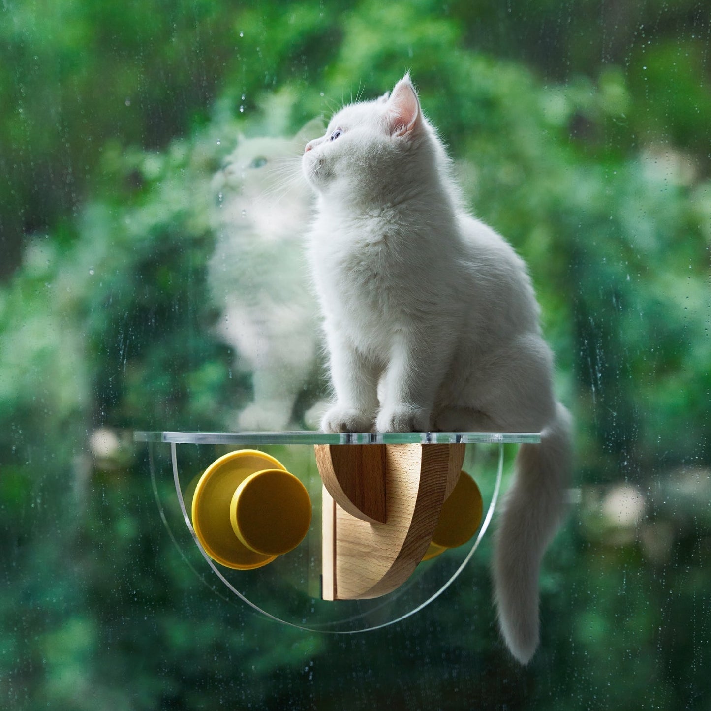 Cat Window Perch - Sunbathing Time pidan