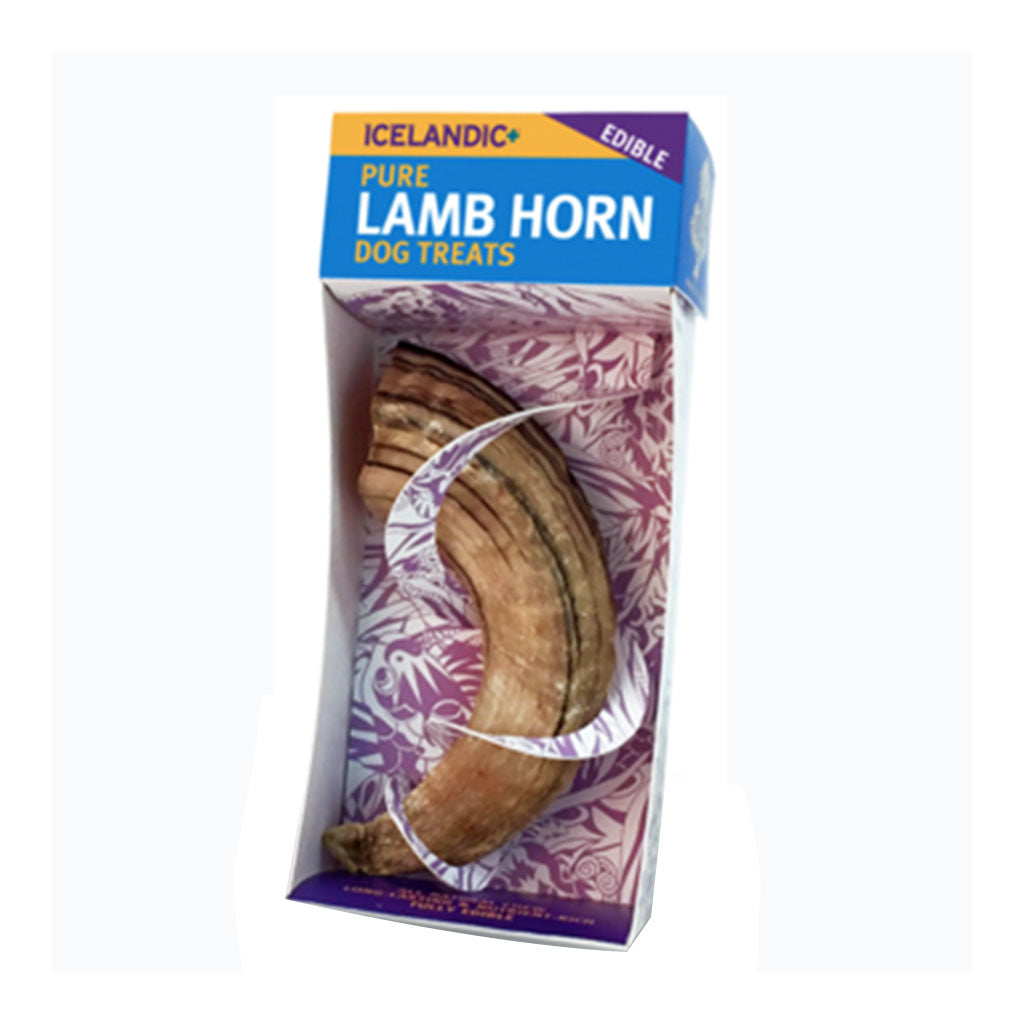 Lamb Horn Icelandic+