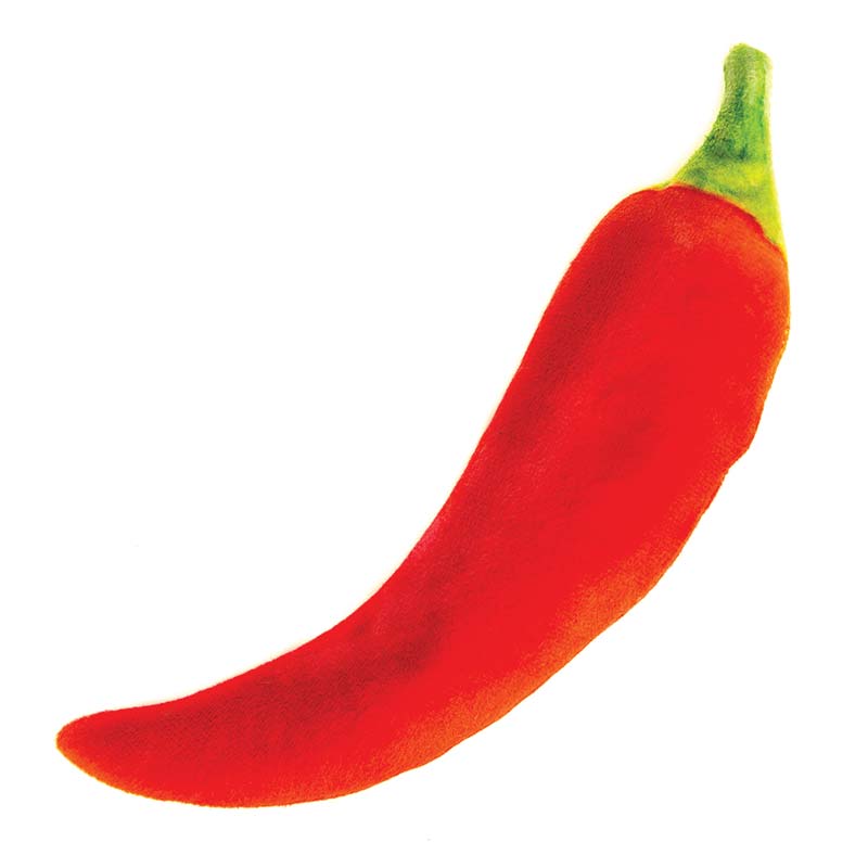 Natural Cat Toys - Silver Vine - Toy - Cuddle - Chili - Jumbo URBAN PAW PETS