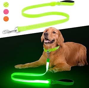 Led Dog Leash, 4 Ft Light Up Dog Leash Rechargeable Waterproof