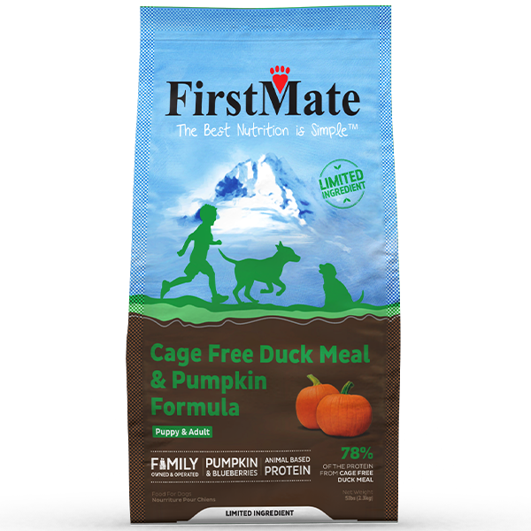 First Mate Duck & Pumpkin – görsel 2
