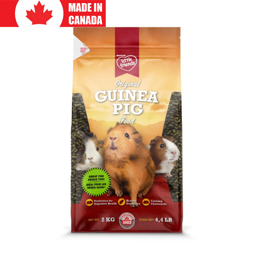 Original Guinea Pig Martin Little Friends