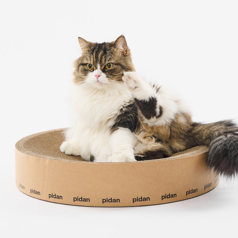 Pidan Cat Scratcher Round Type URBAN PAW PETS