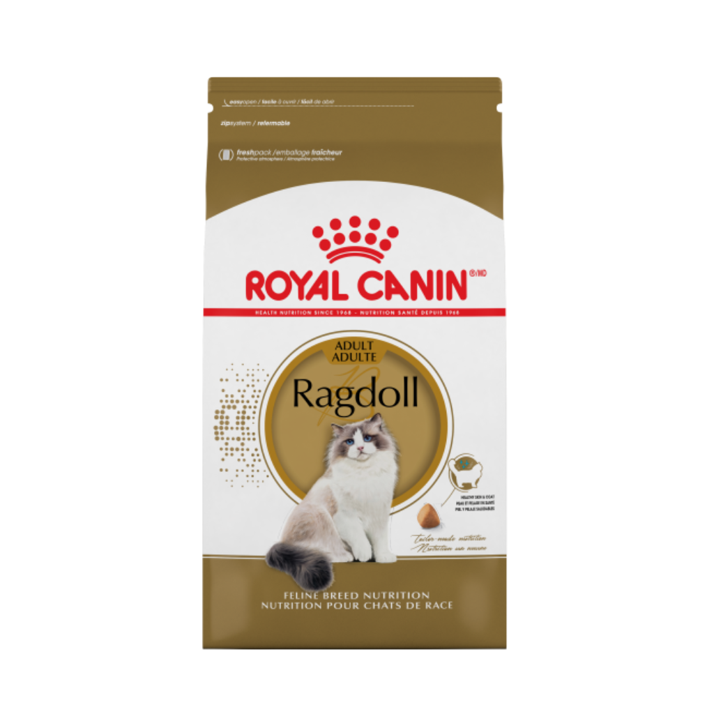 Ragdoll Royal Canin