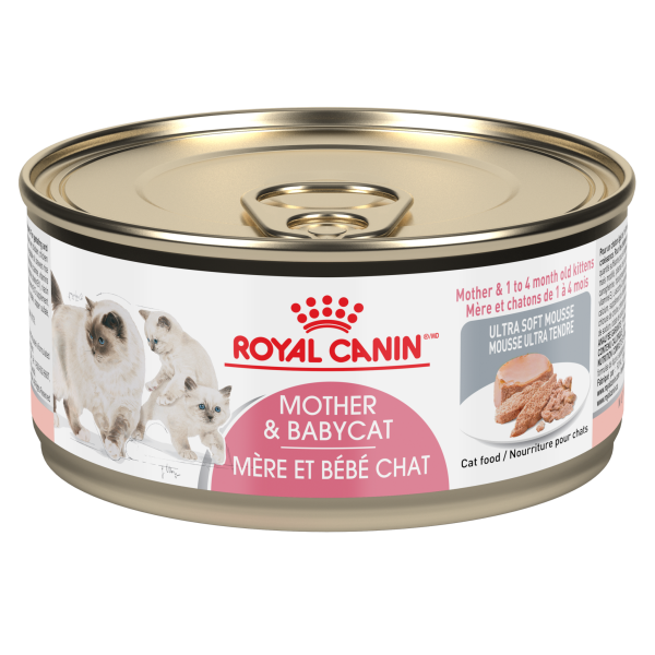Mother & Babycat Mousseg Royal Canin