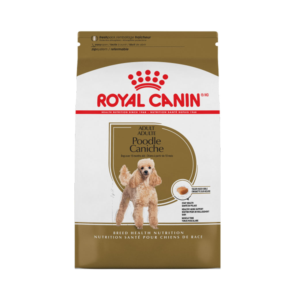 Poodle Adult Royal Canin