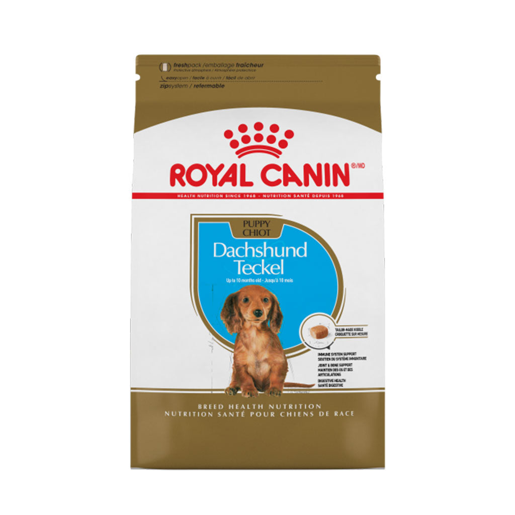 Dachshund Puppy Royal Canin