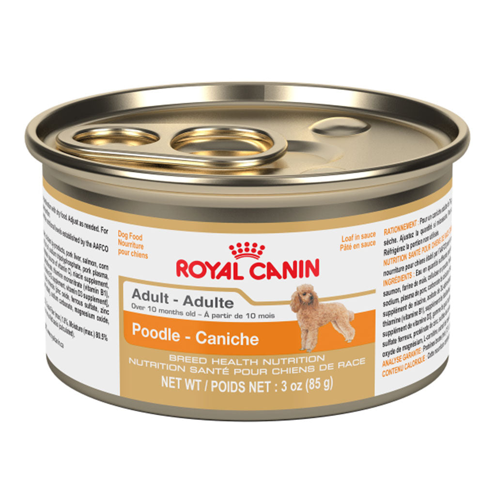 Poodle Adult Loaf Royal Canin