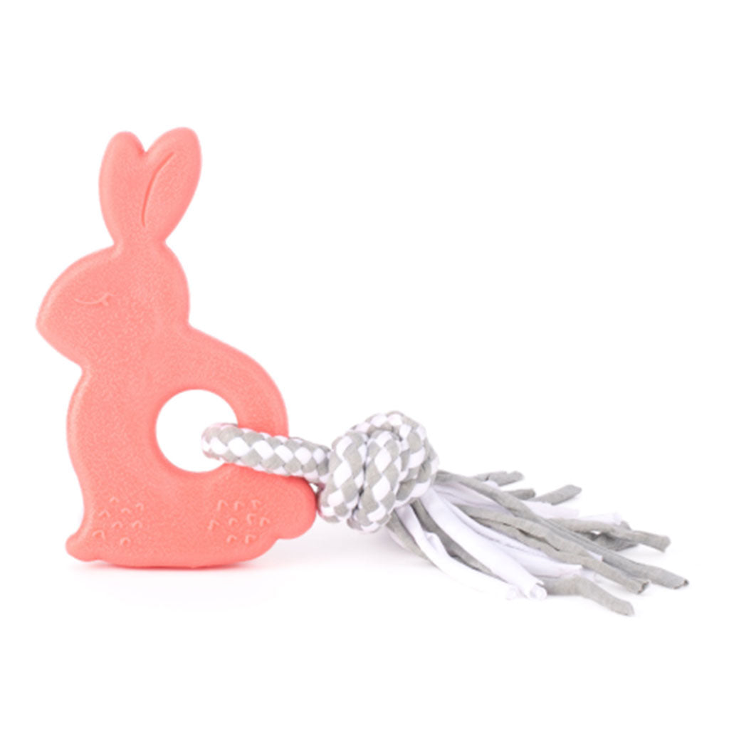 ZippyTuff Bunny ZippyPaws