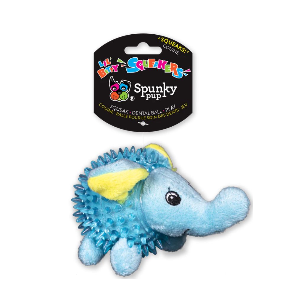 Lil' Bitty Hedgehog Spunky Pup