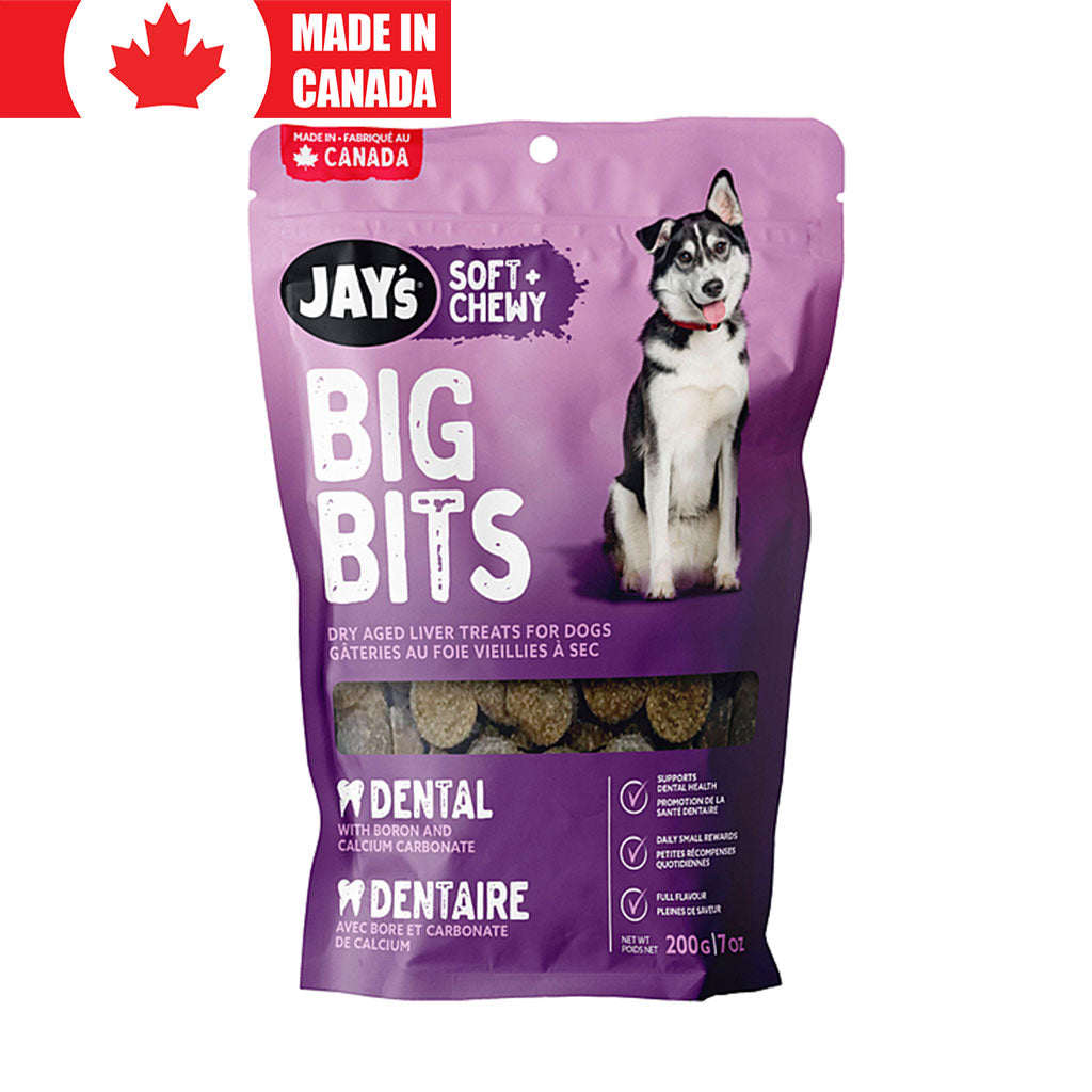 Big Bits Dental Jay's