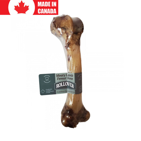 Meaty Lamb Femur Rollover
