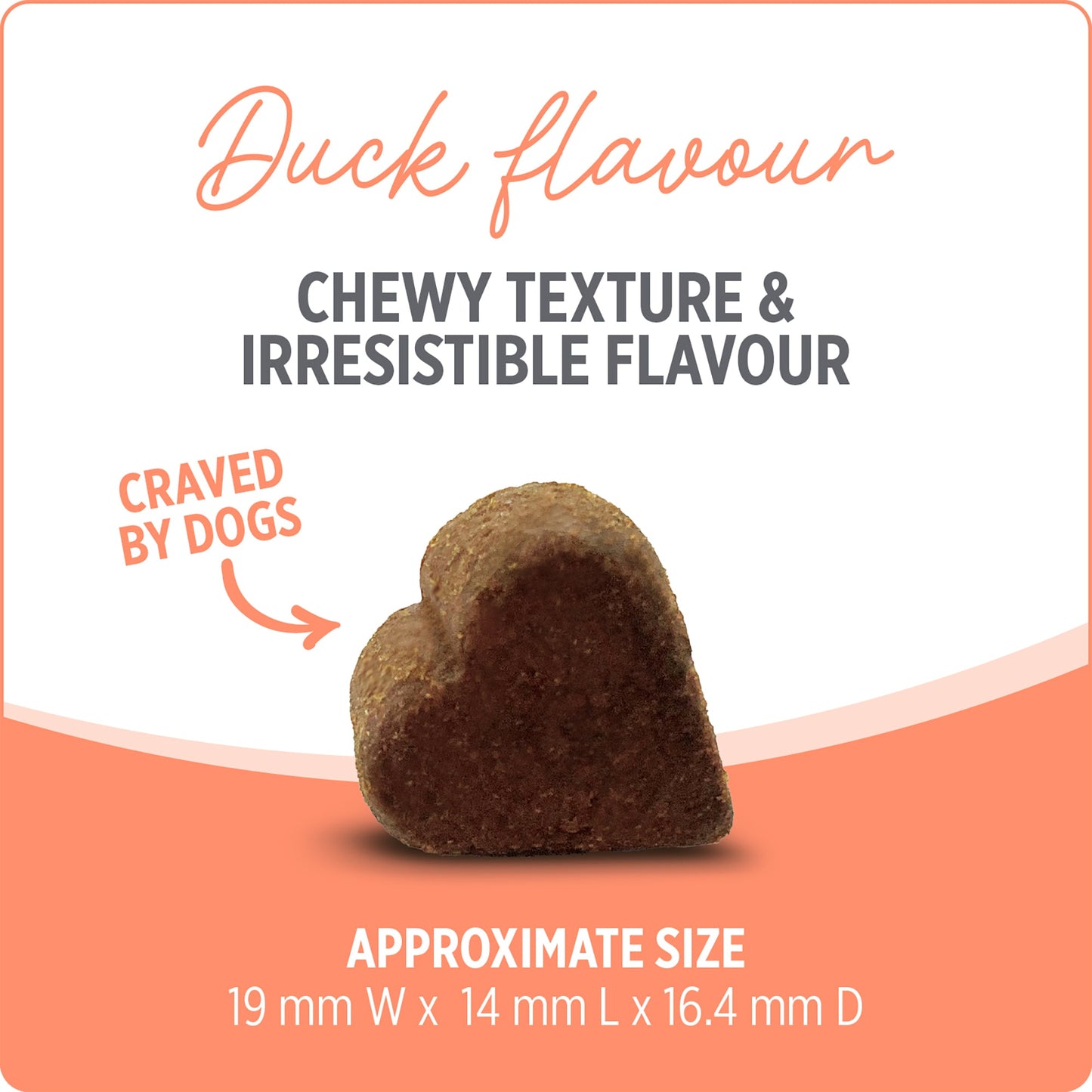 Nutrience Care Supplement for Dogs - Probiotic+ - 100 soft chews - 400 g URBAN PAW PETS