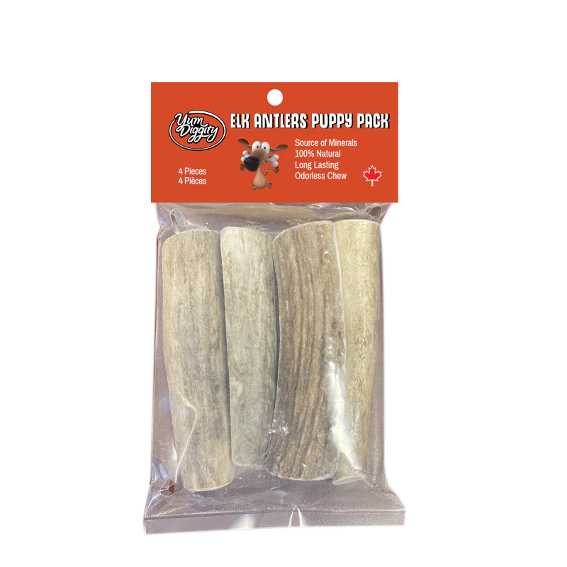 Yum Diggity - Puppy Antler Pack URBAN PAW PETS