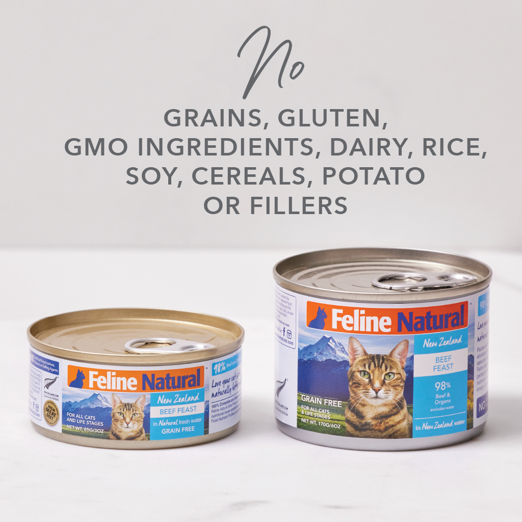 Feline Natural - Canned - Beef Feast
