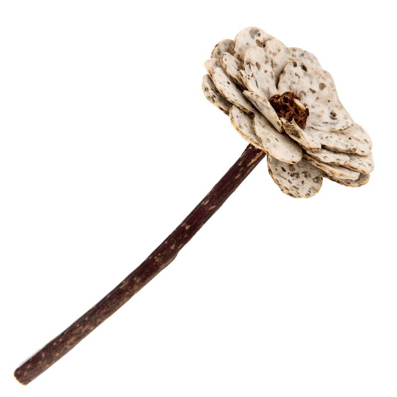 Natural Cat Toy - Catnip - Toy - Paper - Flower URBAN PAW PETS