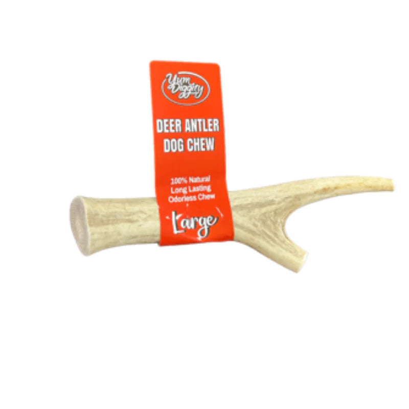 Yum Diggity - DEER Whole Antler Chew URBAN PAW PETS
