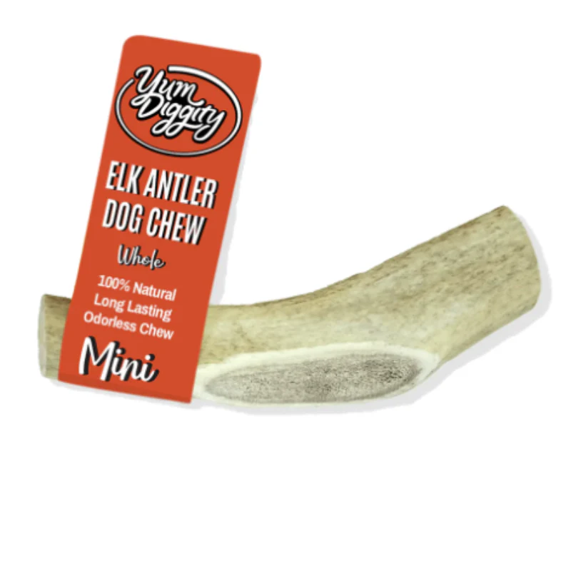 Yum Diggity - Whole Elk Antler Chew URBAN PAW PETS