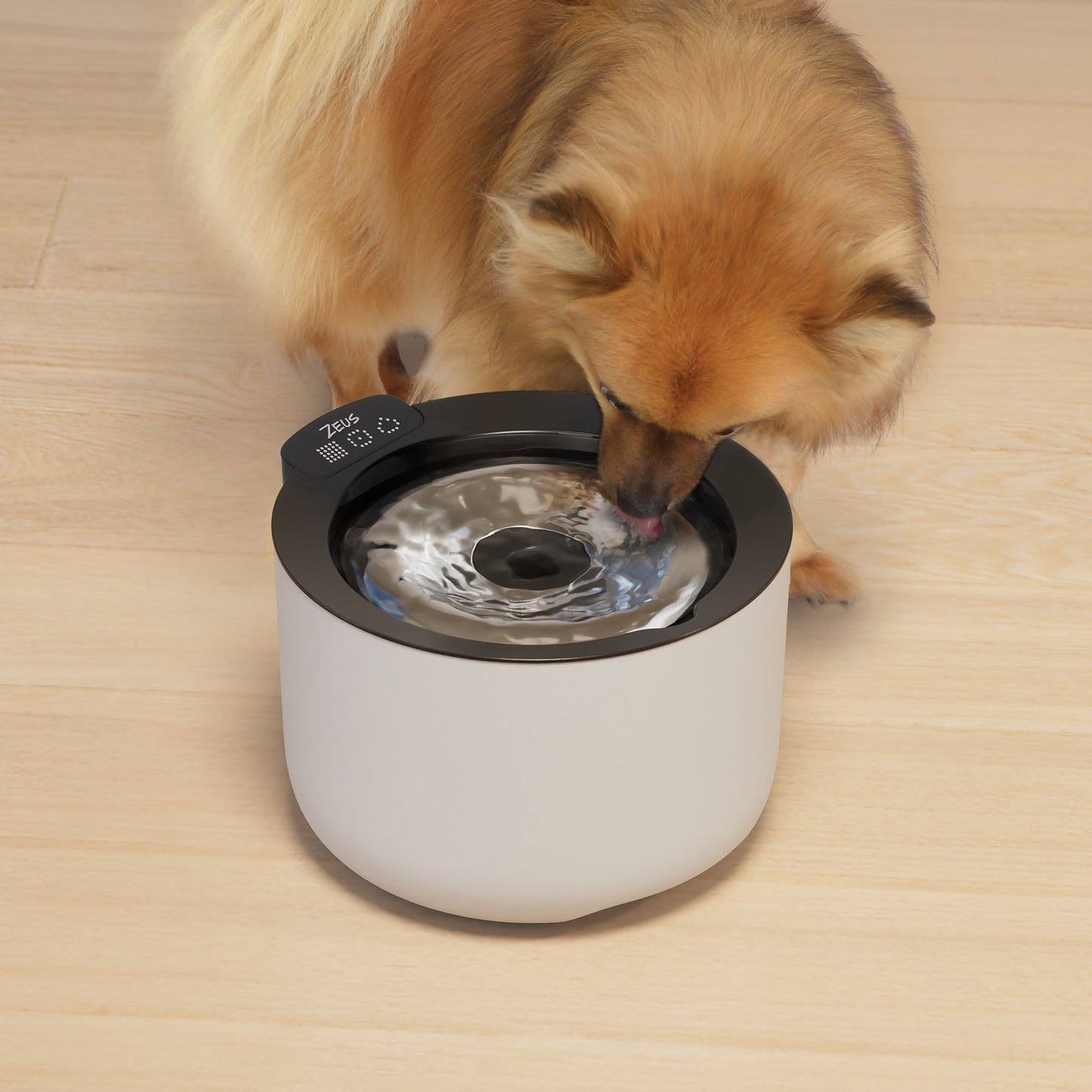 Zeus Oasis Plus Smart Fountain - 3 L URBAN PAW PETS