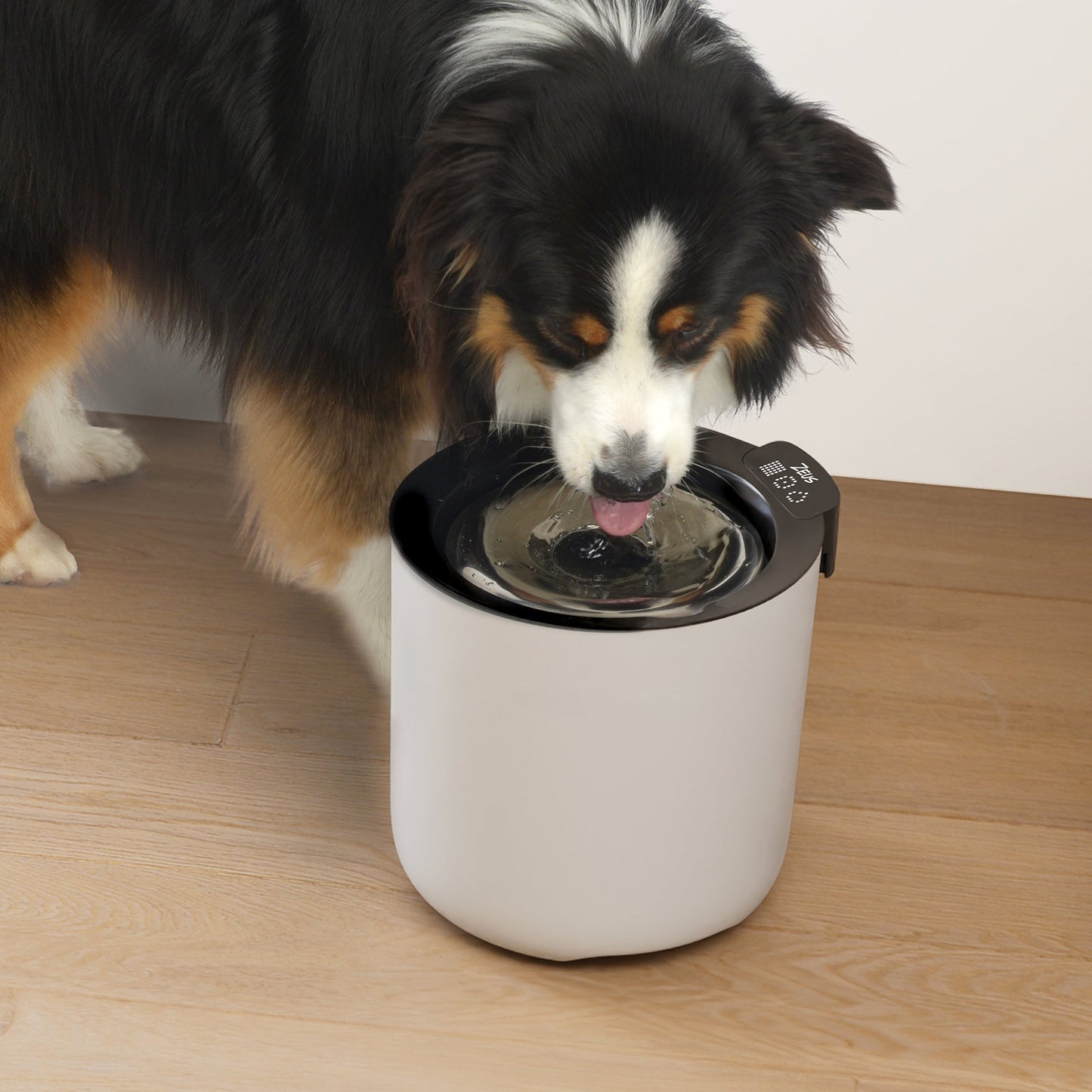 Zeus Oasis Plus Smart Fountain - 6 L URBAN PAW PETS