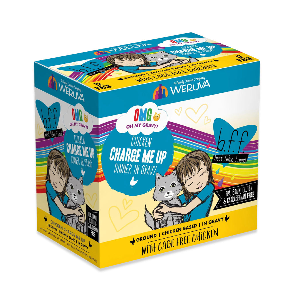 Chicken Dinner in Gravy